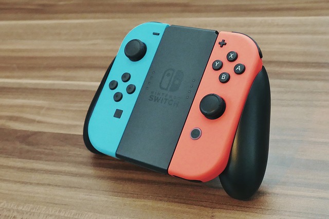 Nintendo Switch Joy Con